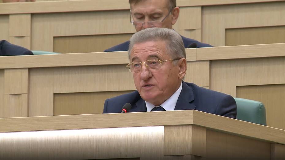 Воронежский сенатор Сергей Лукин – о необходимости оплаты неиспользуемого резерва энергомощностей