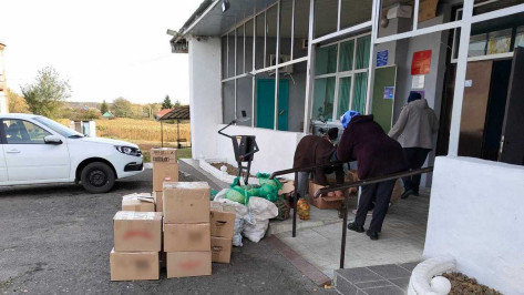 Грибановцы передали бойцам СВО свежие и законсервированные овощи и фрукты