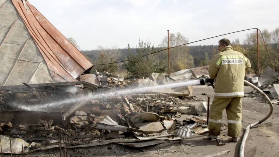 Два человека погибли на пожарах в Воронежской области