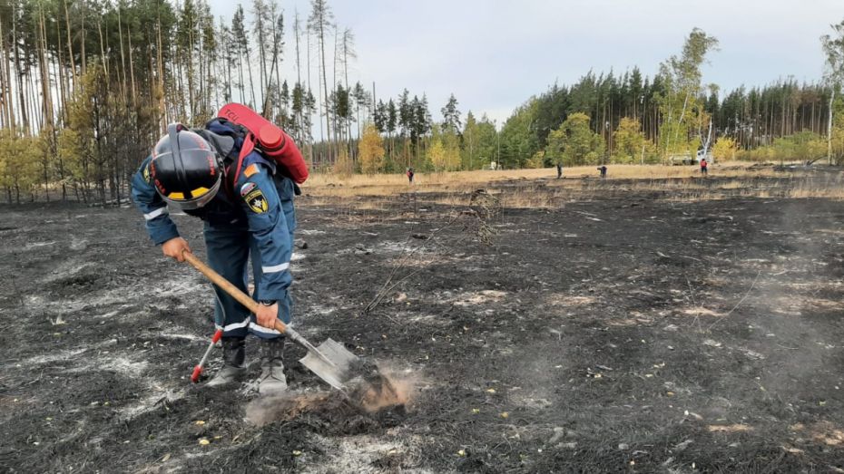 Пожарные ликвидировали 2 из 3 крупнейших пожаров в Воронежской области