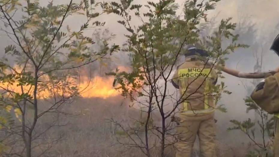 В Воронеже около 100 человек тушат пожар в Семилукских Выселках