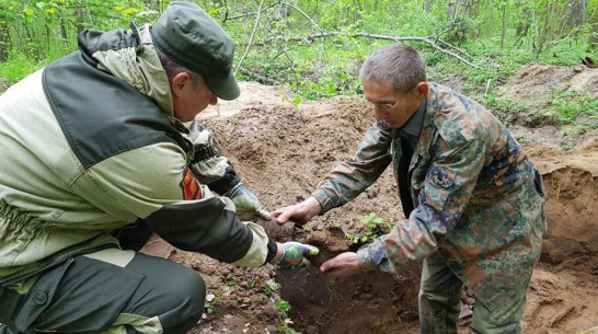 Поисковики попросили откликнуться родных красноармейца из воронежского села Гороховка