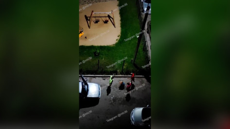 Под Воронежем пятеро мужчин избили женщину и насильно затолкали в машину