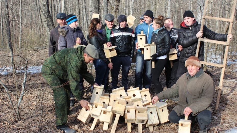 В Терновском районе школьники развесили в Савальском лесничестве 50 скворечников