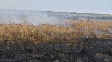 По всей Воронежской области установился 3 класс пожарной опасности