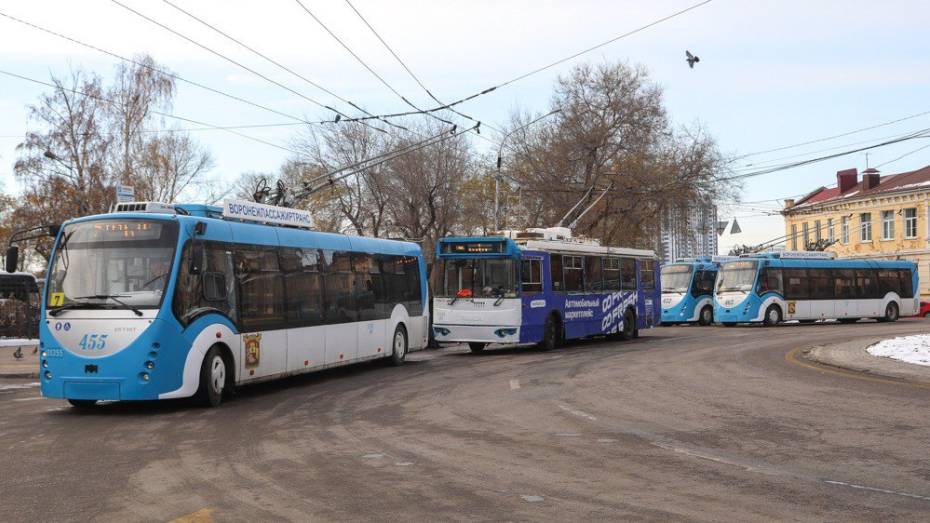 Новый троллейбусный маршрут запустят в Воронеже 29 ноября