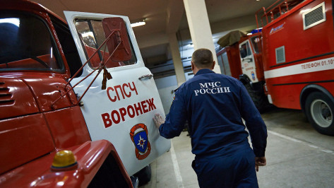 Губернатор Воронежской области Александр Гусев поздравил спасателей с праздником