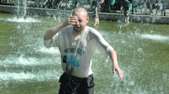 МЧС предупредило воронежцев об аномальной жаре и сильном ветре