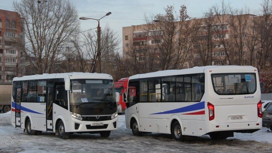 В Воронеже 7 автобусов №125 будут следовать через улицы Пушкинская и Фридриха Энгельса