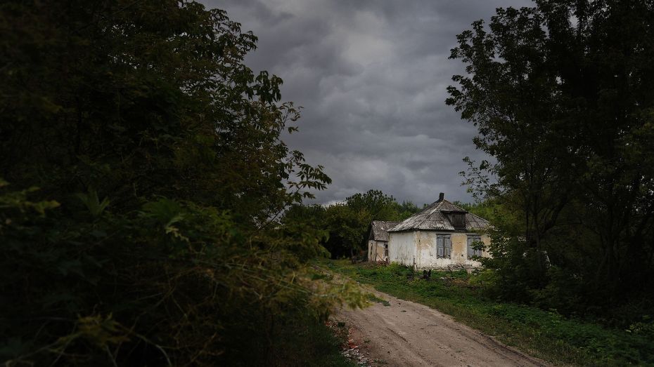 Желтый уровень погодной опасности установился в Воронежской области из-за грозы