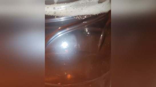 Санитарные врачи предупредили воронежский магазин, продавший пиво с червями