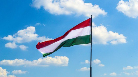 Воронежская область объявила о сотрудничестве с венгерским медье Тольна