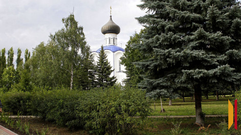 Стартовал конкурс «Лучшее муниципальное образование Воронежской области — 2025»