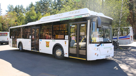 Жителей воронежского микрорайона «Нефтебаза» не будут лишать автобуса №63