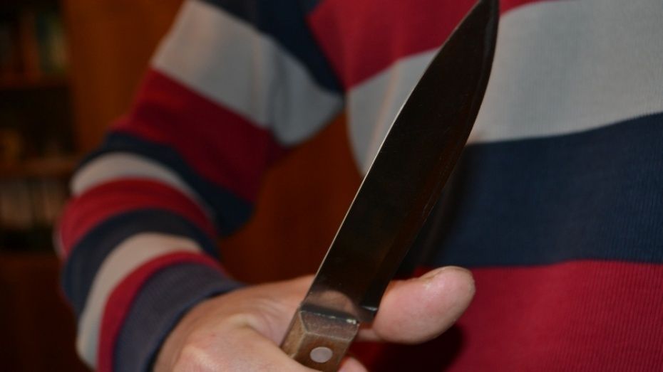 В Воронежской области мужчина из ревности ударил ножом в живот сожительницу 