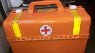 В Острогожском районе в ДТП пострадали водители двух автомобилей