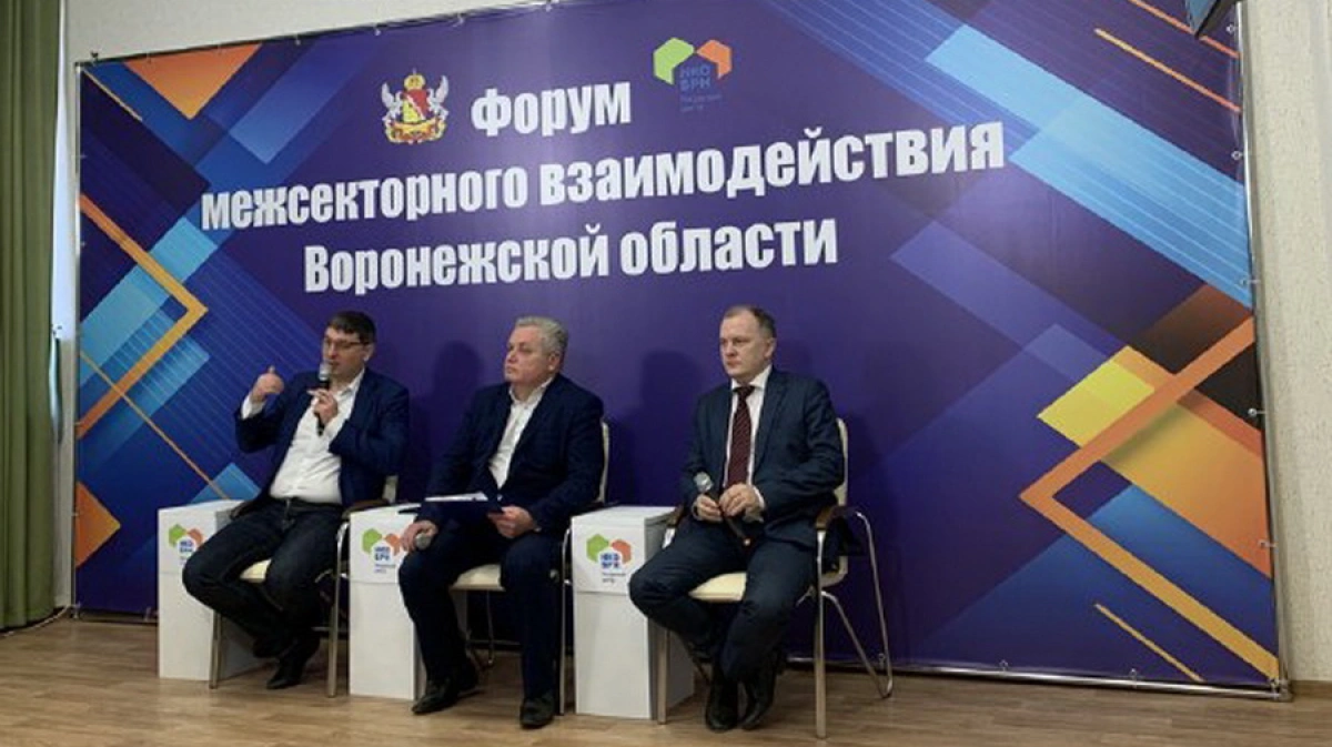 Общественные организации воронежа. Общественная палата воронежа состав. Общественные организации воронежа. Ресурсные центры по поддержке некоммерческих организаций,. Общественные организации воронежа.