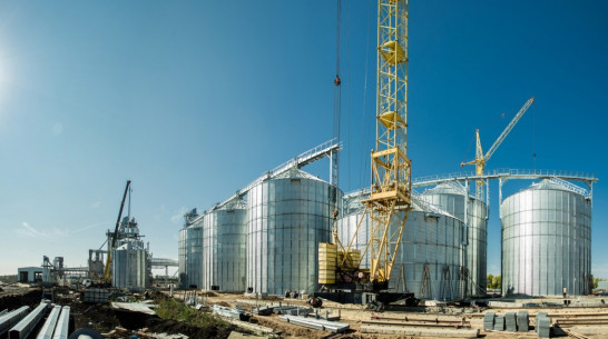 В Воронежской области построят мясоперерабатывающий комбинат и комбикормовый завод