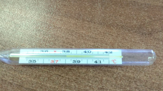 Заболеваемость гриппом в Воронежской области в 2021 году оказалась в 50 раз ниже прошлогодней