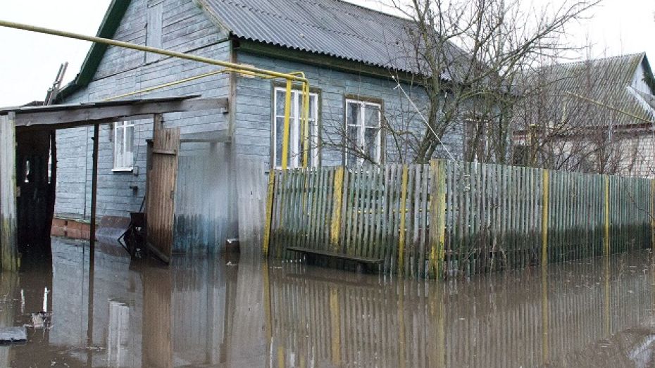 В Давыдовке Лискинского района в зоне подтопления оказалось несколько десятков домов