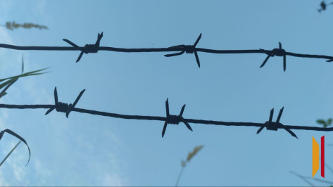 В Бобровском районе закладчика приговорили к 15 годам колонии особого режима