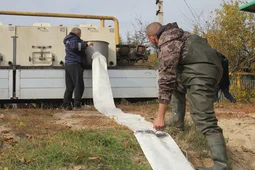 Более 350 тыс мальков сазана выпустили в реку Битюг в Бобровском районе