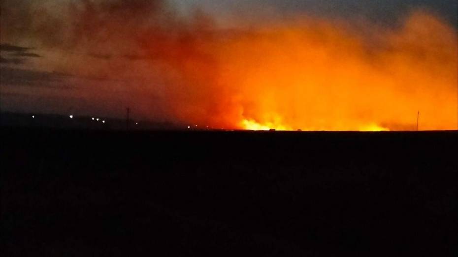 В Терновском районе выгорело 100 кв м сухой травы