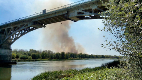 В Верхнемамонском районе увеличилось количество ландшафтных пожаров