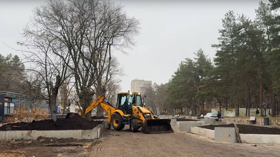 Реконструкцию парка «Танаис» в Воронеже могут завершить в 2027 году