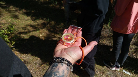 В Воронежской области за неделю пропало 25 человек