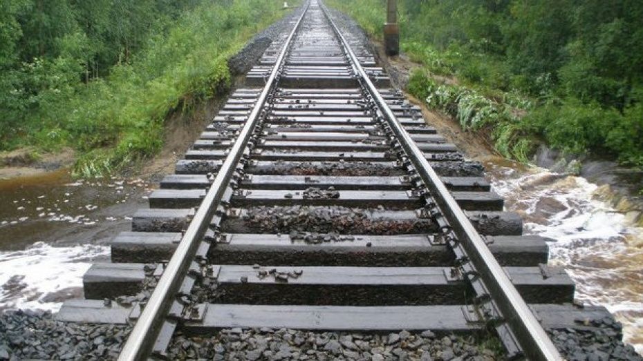 Месячник «Безопасная железная дорога» стартовал в Воронежской области