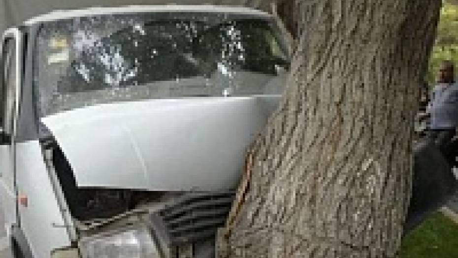 Под Воронежем «ГАЗель» врезалась в дерево: два человека ранены