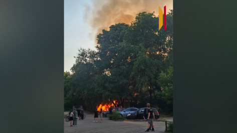 Появились фото и видео крупного пожара на левом берегу Воронежа