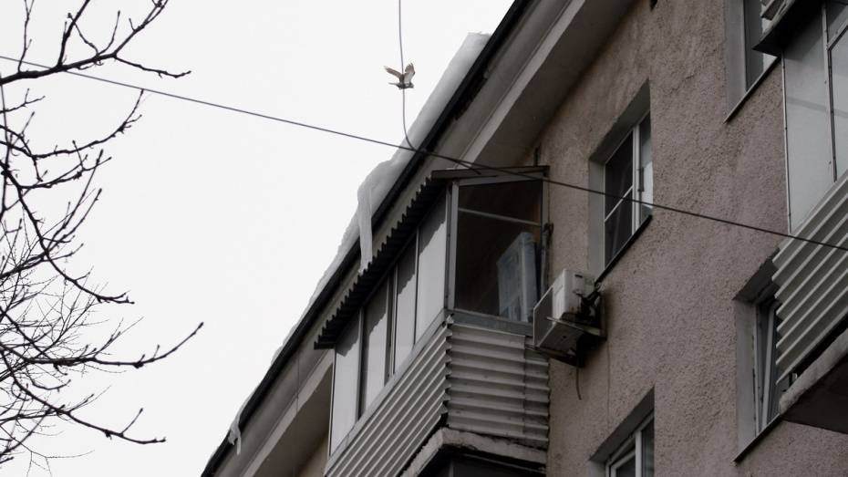 В центре Воронежа за день от снега и наледи очистят крыши 14 домов