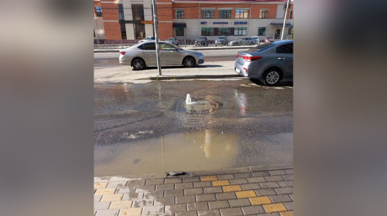 «Гейзеры» и «фонтаны» вновь заметили на улице Шишкова в Воронеже