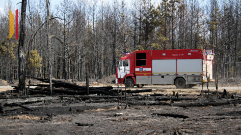 В Воронежской области объявили предупреждение из-за высокого уровня пожароопасности