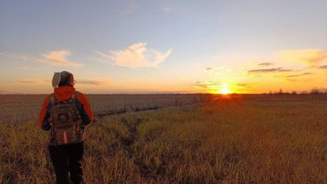 В Воронежской области за неделю живыми нашли 18 пропавших людей