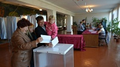 На выборах губернатора проголосовали 73,91% избирателей Петропавловского района