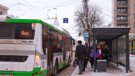 Воронеж потерял 24 позиции в рейтинге качества общественного транспорта