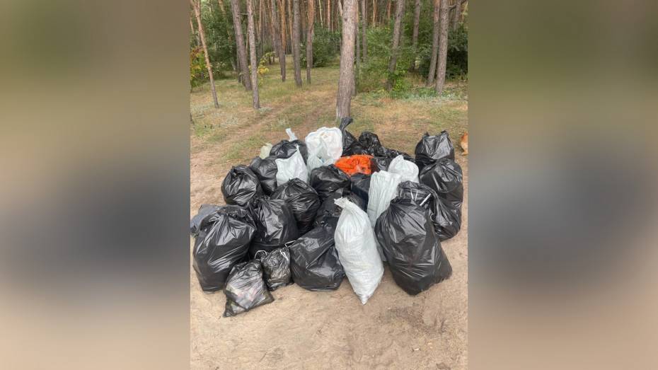 Воронежцы вынесли горы мусора из парка «Танаис»