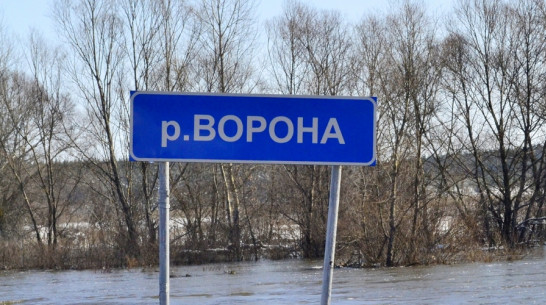 В Грибановском районе открыли движение по низководному мосту через реку Ворона