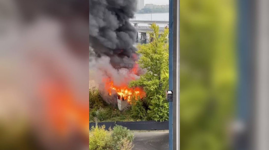 Пожар в заброшенном доме возле Северного моста в Воронеже попал на видео