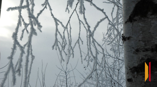 Туман вновь вернется в Воронежскую область