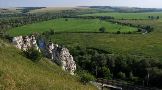 Прямую электричку из Воронежа в Дивногорье запустят в День семьи