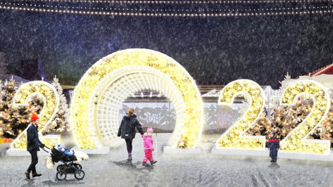 Подрядчика для оформления площади Ленина к Новому году в Воронеже выберут 3 декабря
