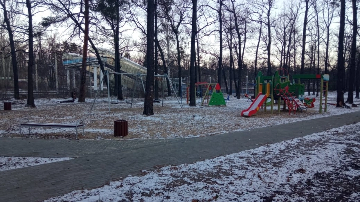 Погода в воронеже сомово