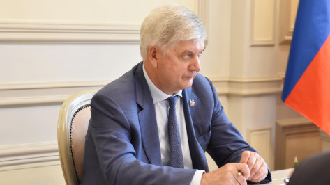 Губернатору Александру Гусеву представили новый подход к развитию воронежского «Олимпика»