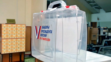 Воронежцы могут проголосовать на дому на выборах Президента РФ: как это сделать