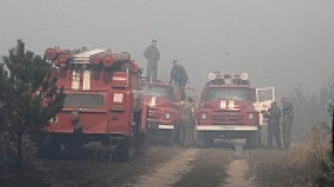 В Новохоперском районе в третий раз за сентябрь загорелся лес