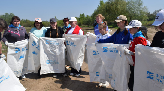 Подгоренцев позвали навести порядок на берегу Дона